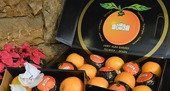 Galería de imágenes